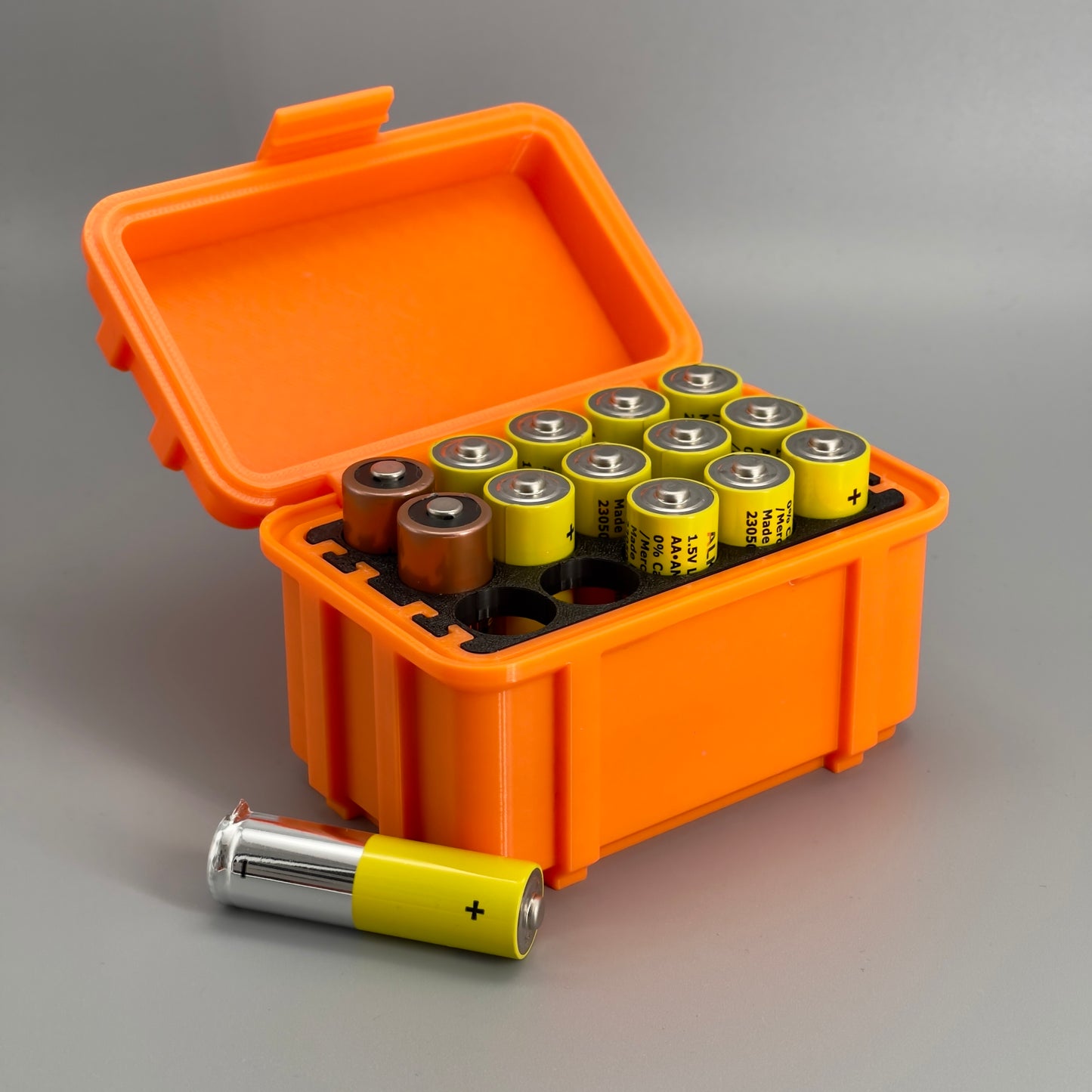 Batterien Aufbewahrungsbox